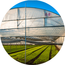 Agriculture Agriculture